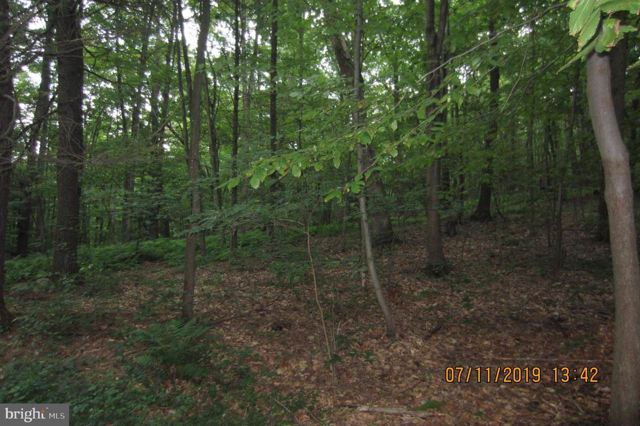 Tax ID 220-184.00-00 Mountain - Photo 1
