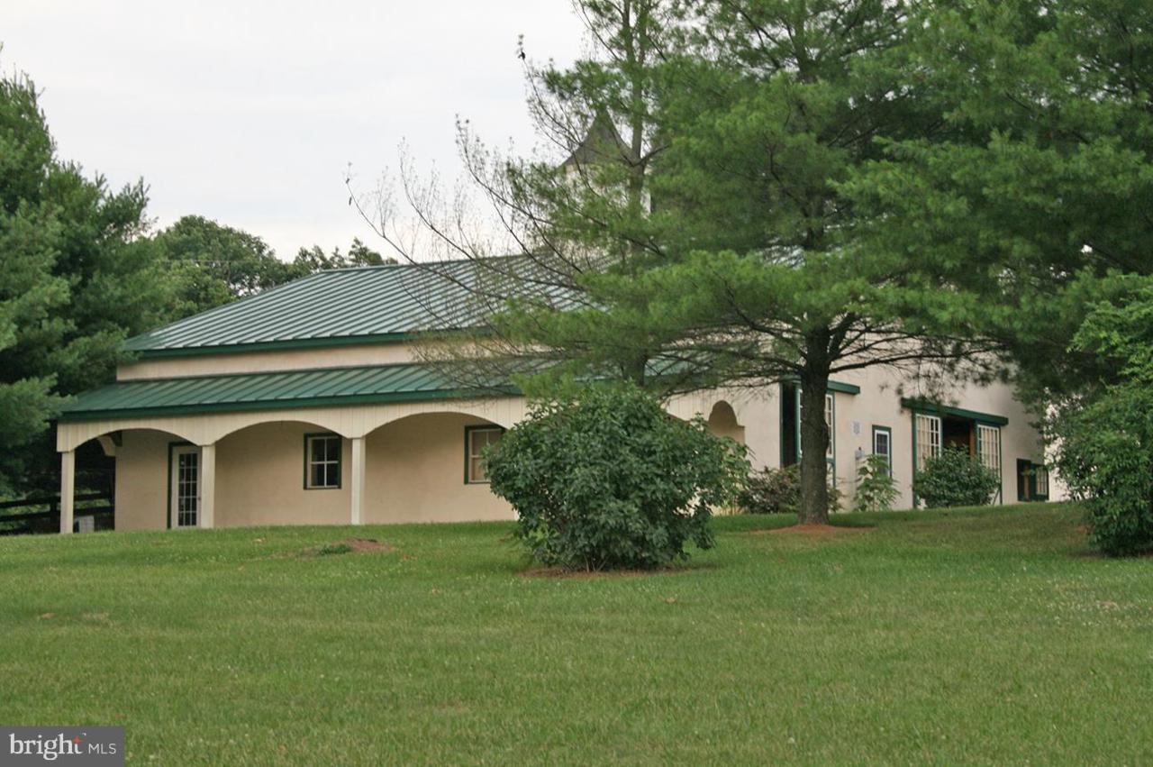 811 Randleston Lane - Photo 1