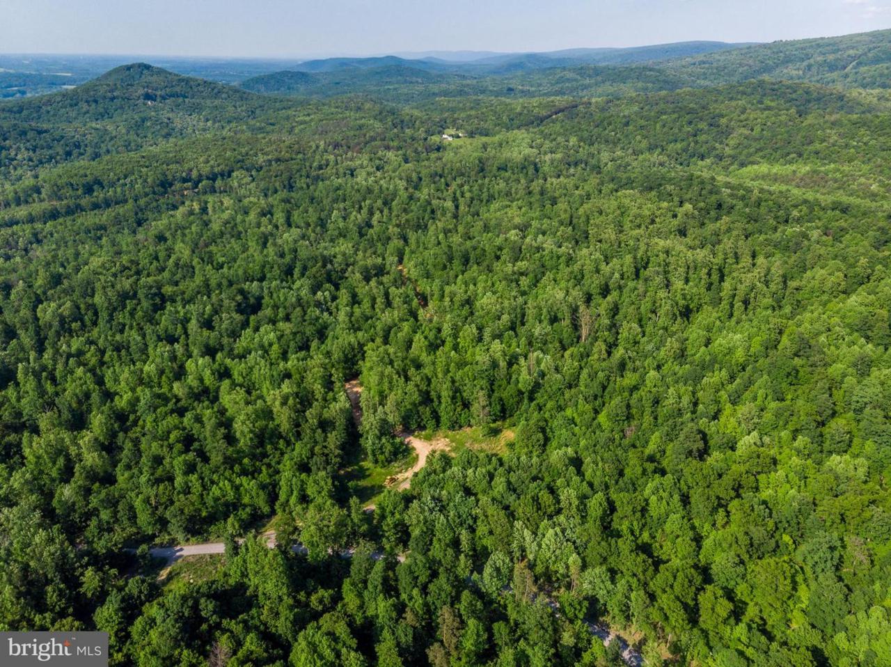 LOT 2G Whitetail Ln - Photo 1