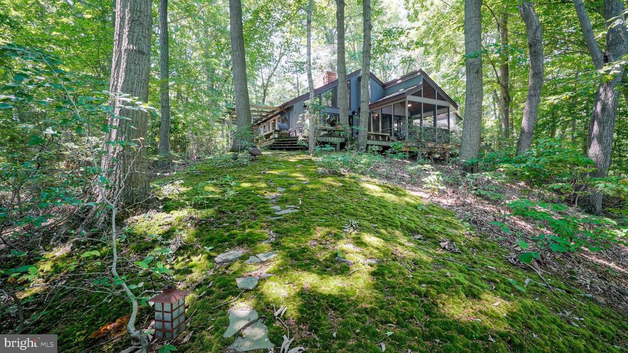 24284 Macs Lane - Photo 1