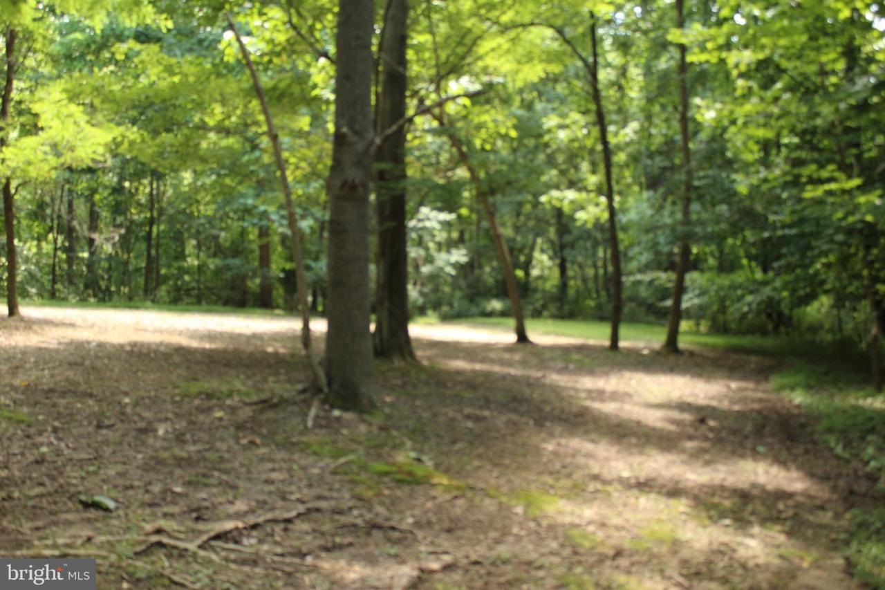Red Hille Way - Photo 1