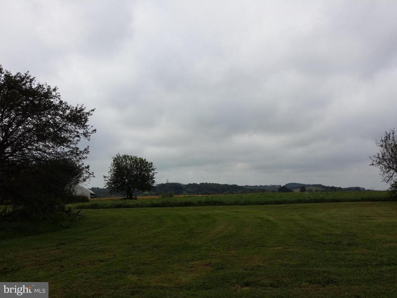 52 Pear Road - Photo 1