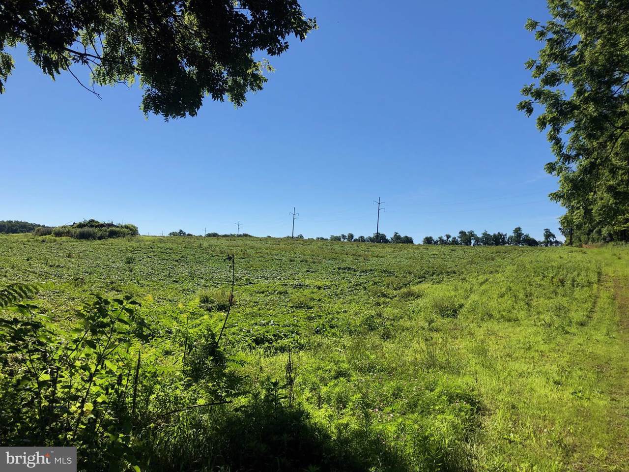 Lot 1 Ritner Hwy Ritner - Photo 1