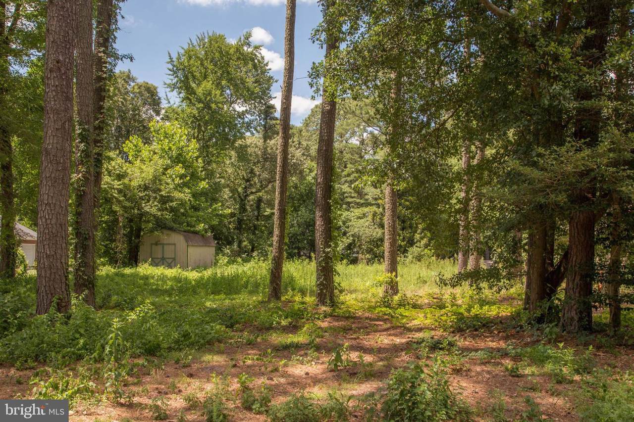 1712 Old Mill Lane - Photo 1