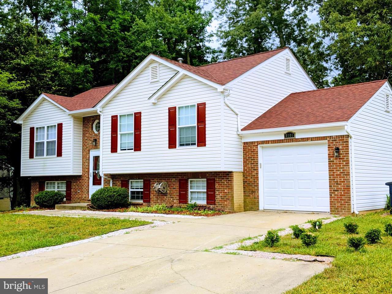 8101 Pats Place - Photo 1