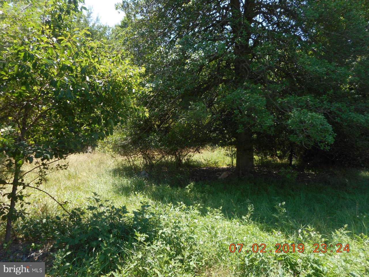 8311 Richardson Road - Photo 1