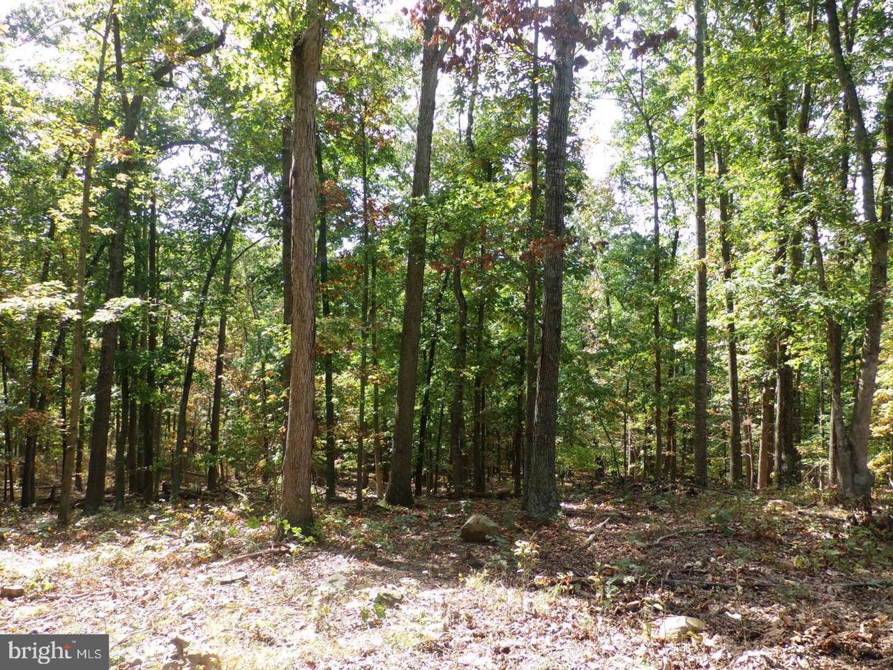 Smith Creek Road - Photo 1 Smith Creek Road - Photo 1