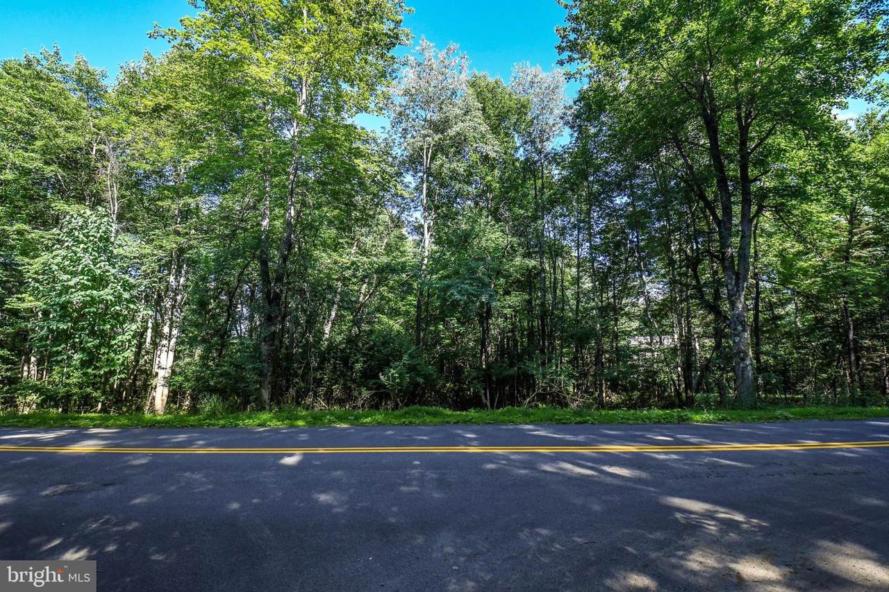 Turkey Neck Road - Photo 1