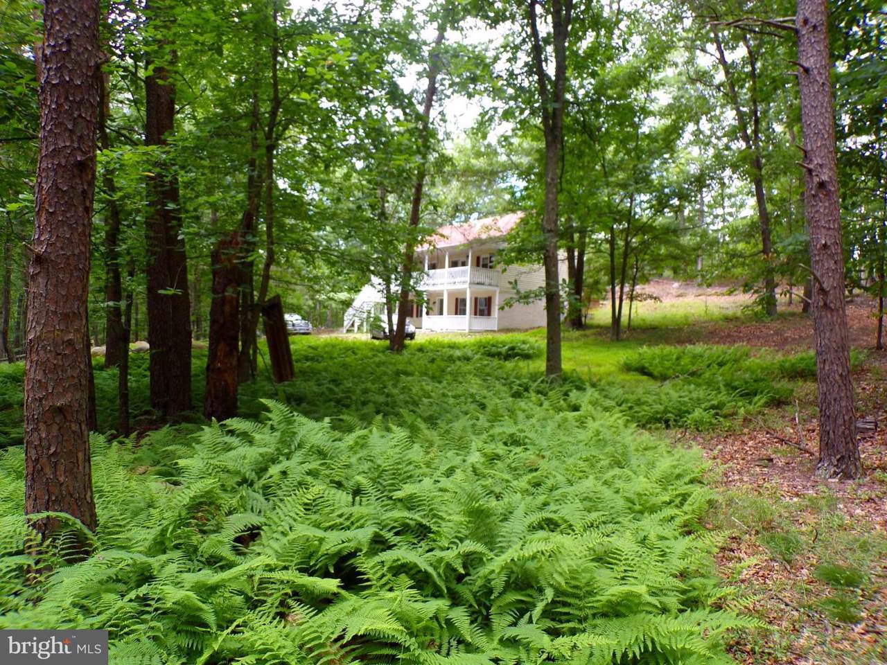 3535 Dillons Run Road - Photo 1