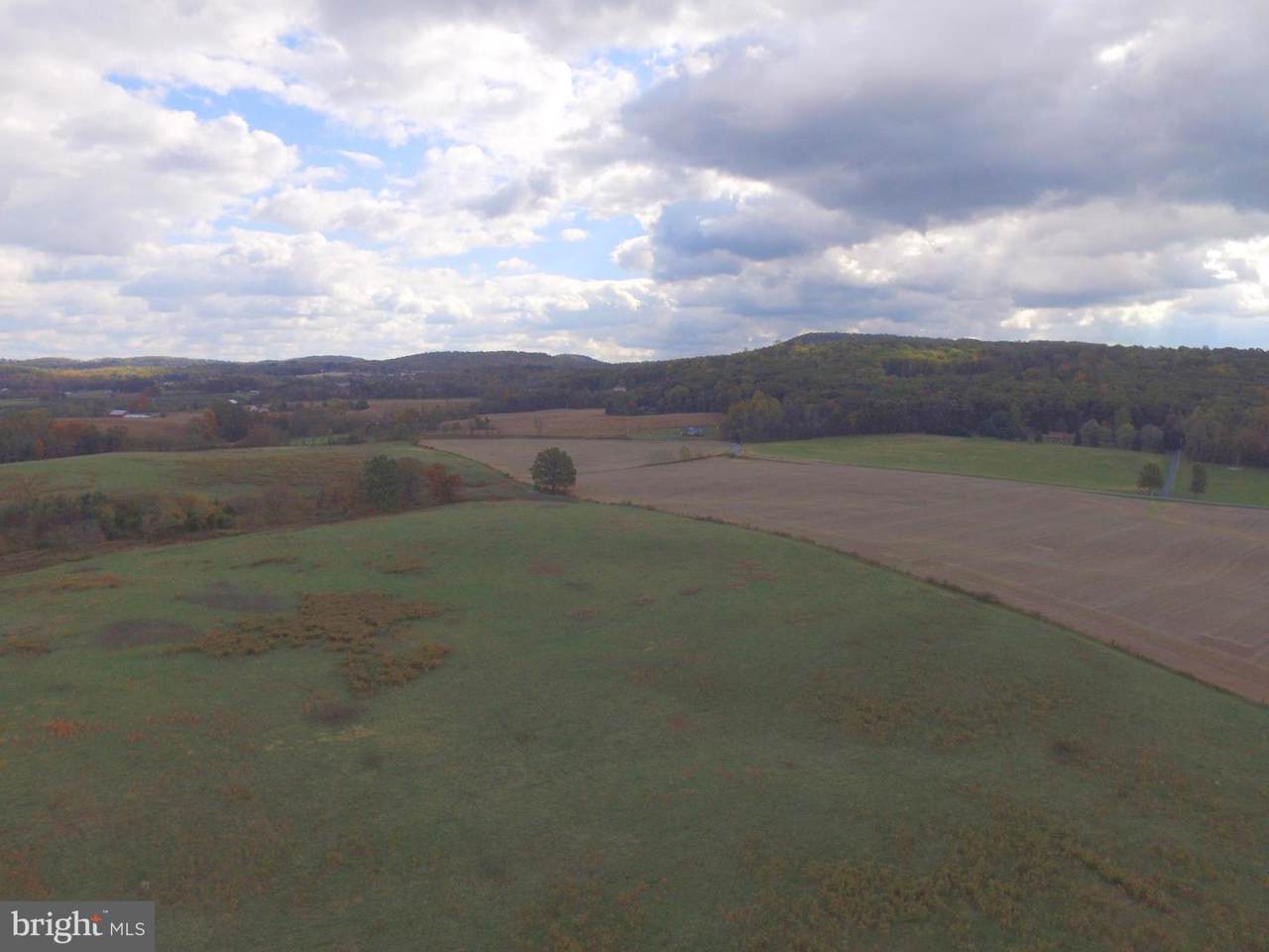 319 Cedar Street (Lot #9) - Photo 1