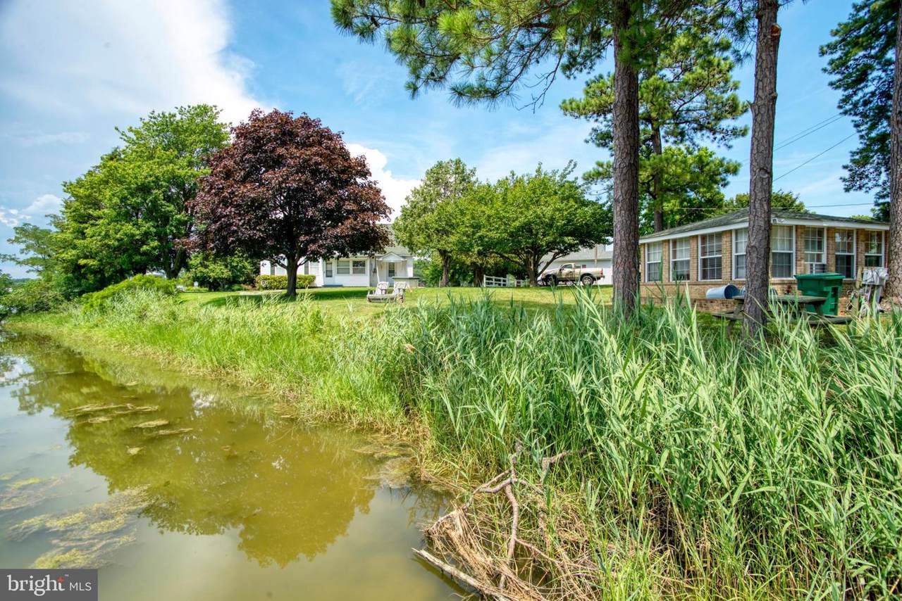 38030 Beach Road - Photo 1