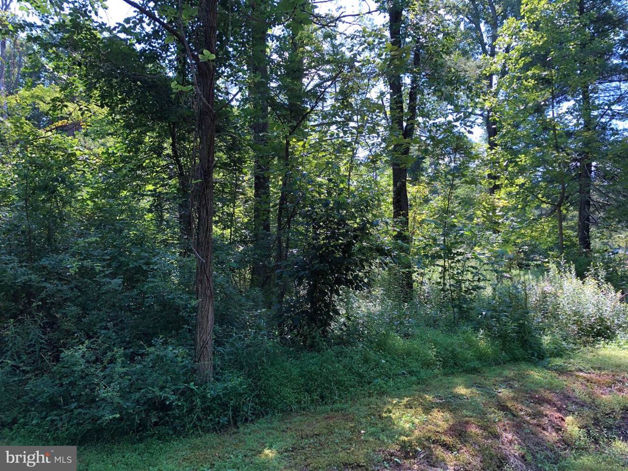 Rippling Waters Lane - Photo 1
