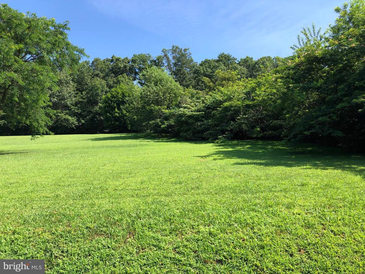 Lot 8 Harman Road - Photo 1
