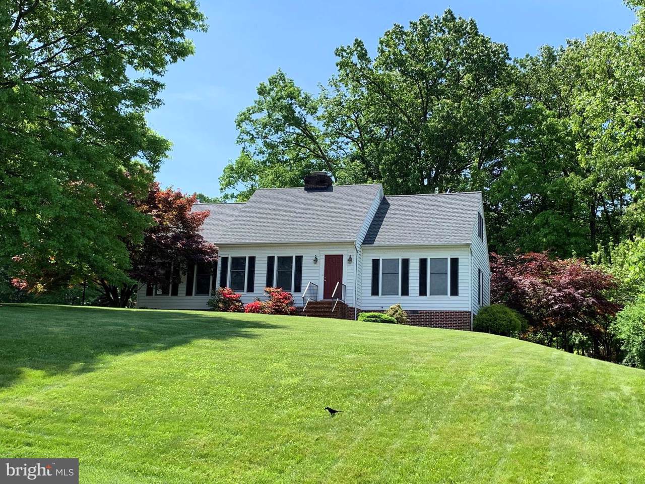 11753 Woodlea Drive - Photo 1