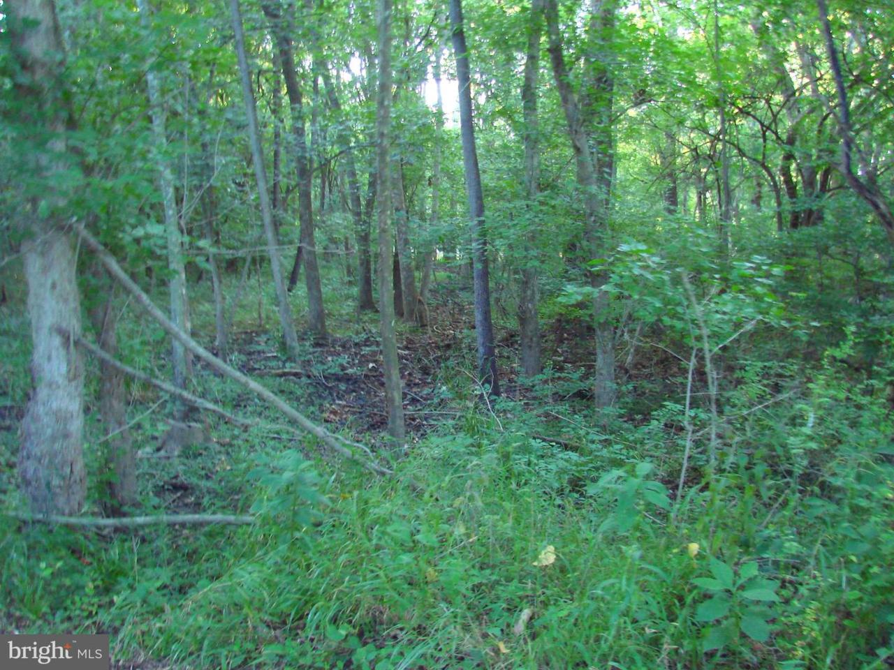 Richview Road - Photo 1