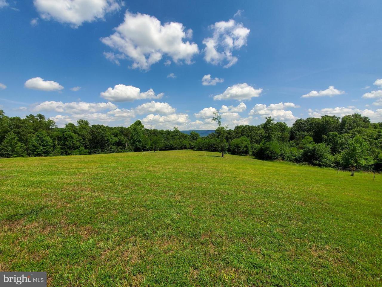 914 Apple Harvest Drive - Photo 1