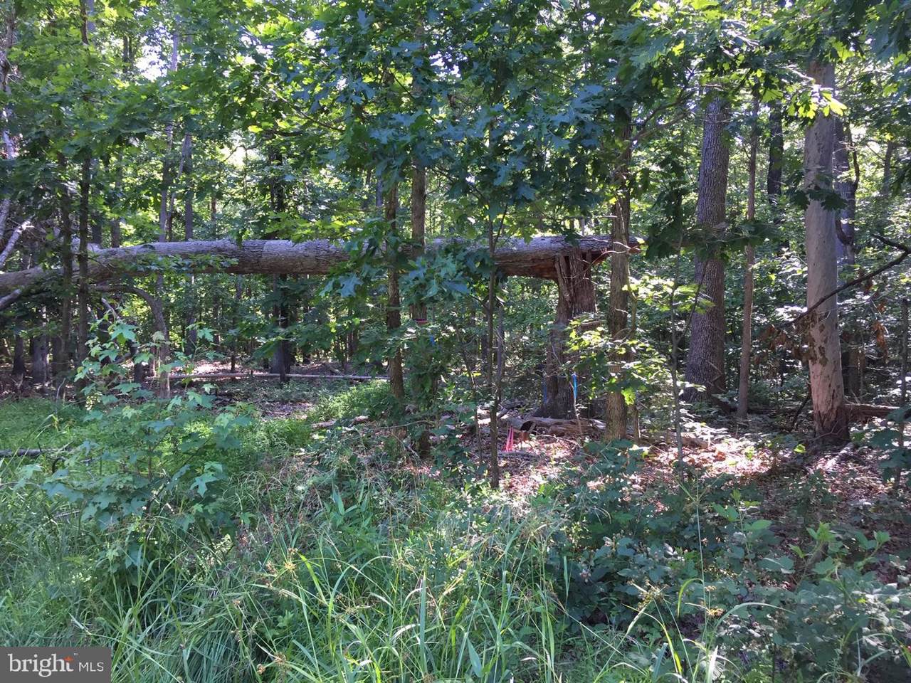 6116 Doyle Road - Photo 1