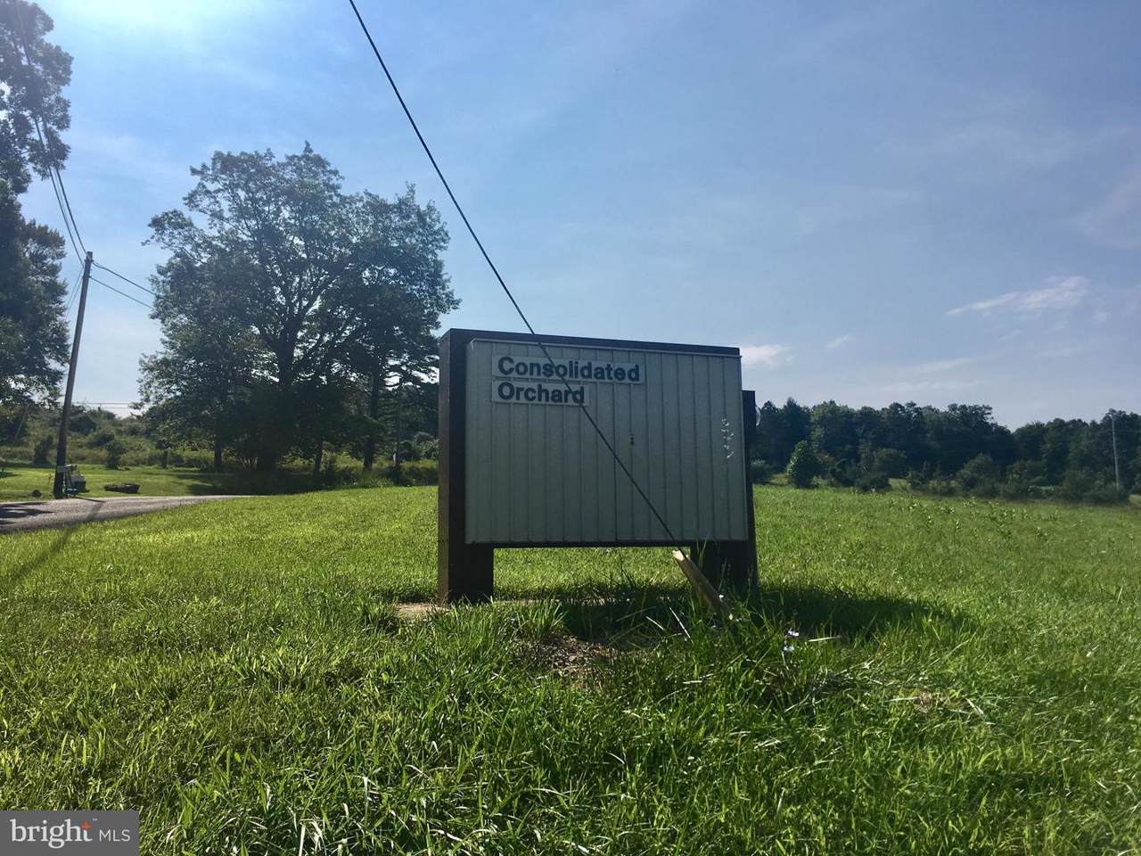 14600 Williams Road - Photo 1
