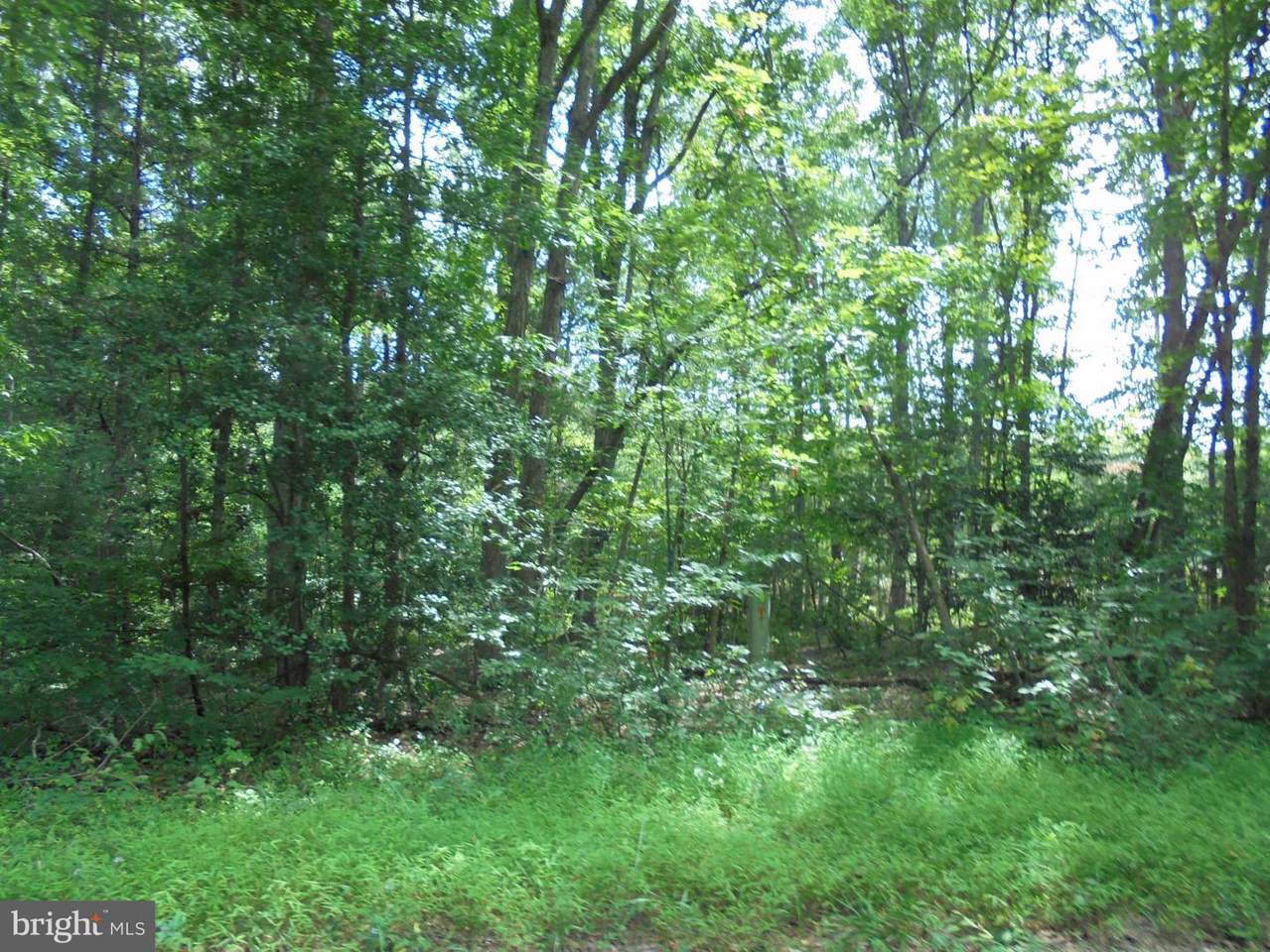 New Hampshire Road - Photo 1