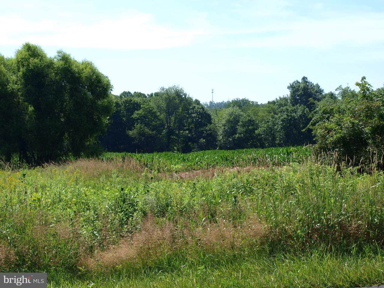 1535 Dooley Road - Photo 1