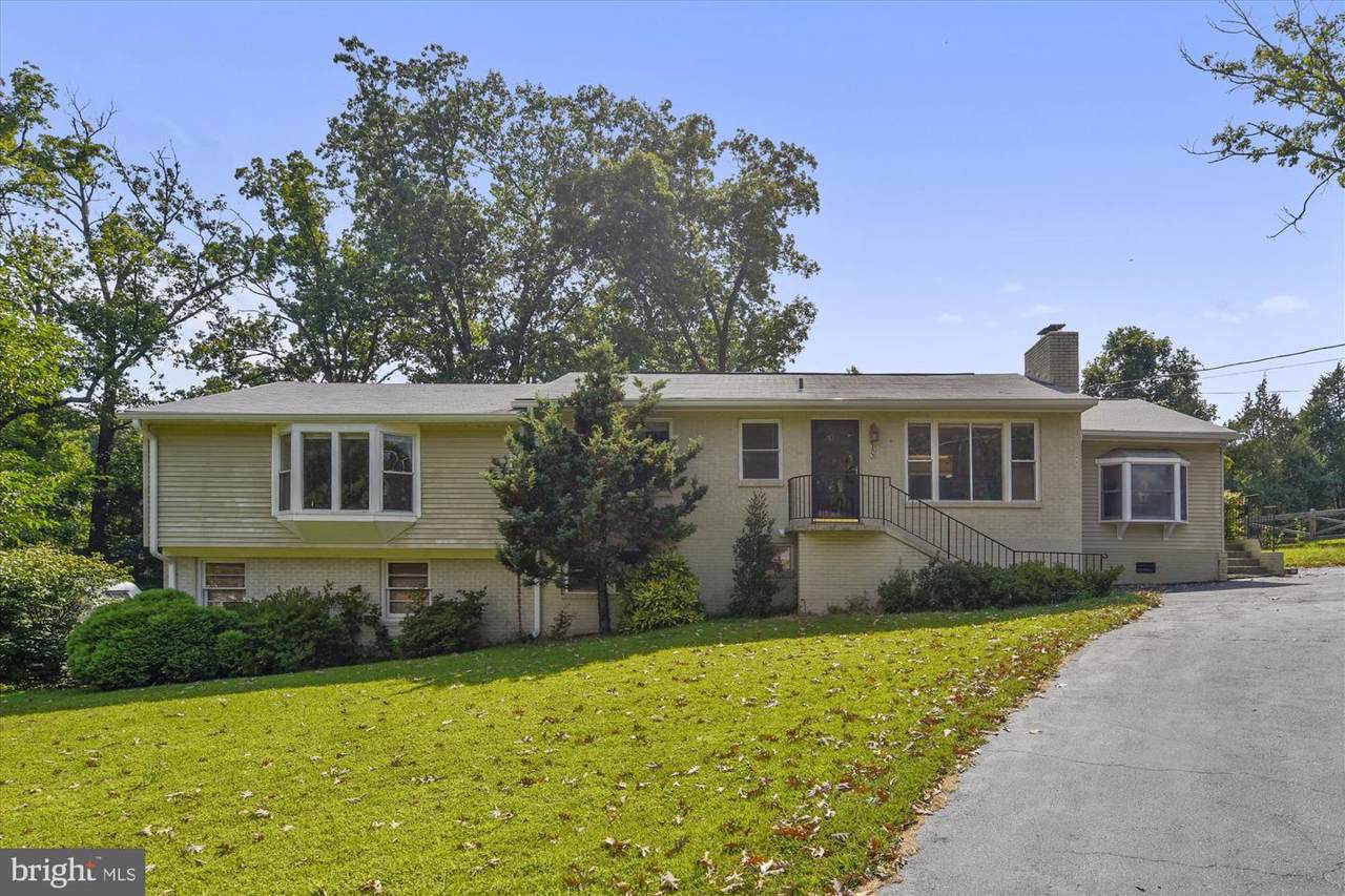 10805 Carol Street - Photo 1