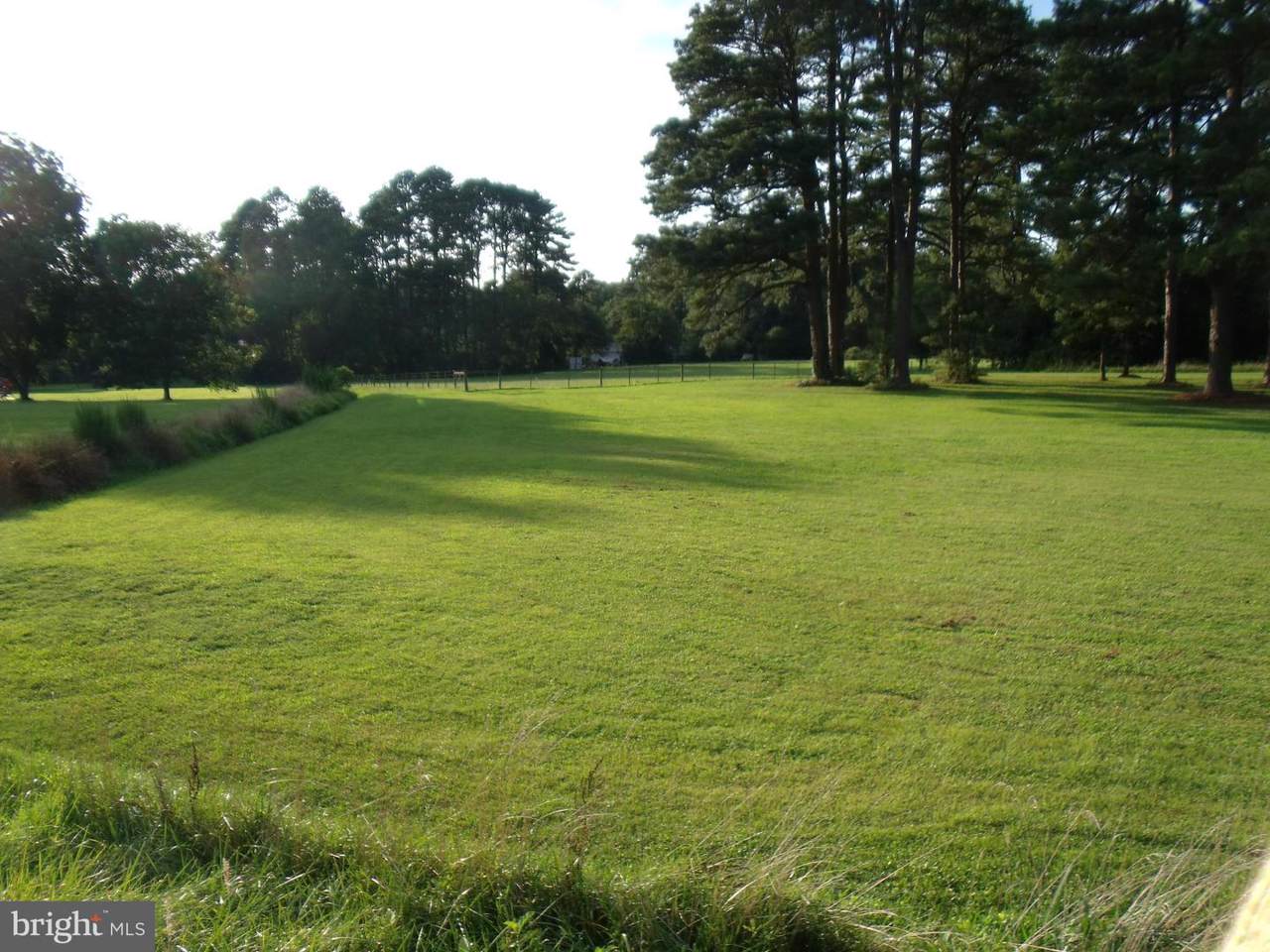 0 Dividing Creek Road - Photo 1