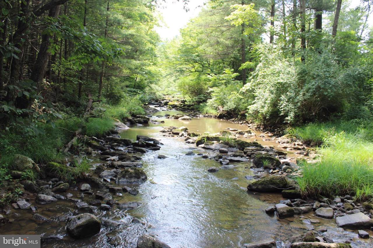 Lot 26 Brooke Trout Dr - Photo 1