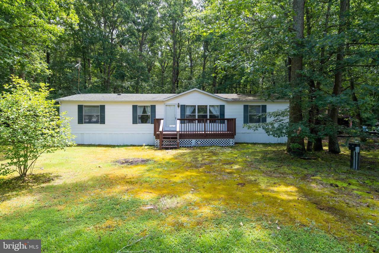 32878 Holly Pines Drive - Photo 1