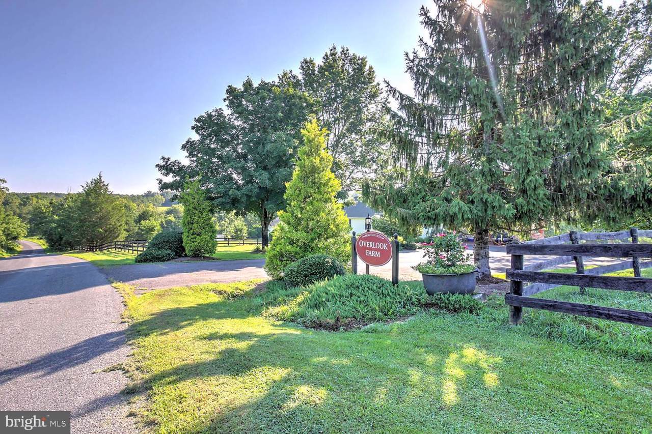 646 Beautiful Run Road - Photo 1