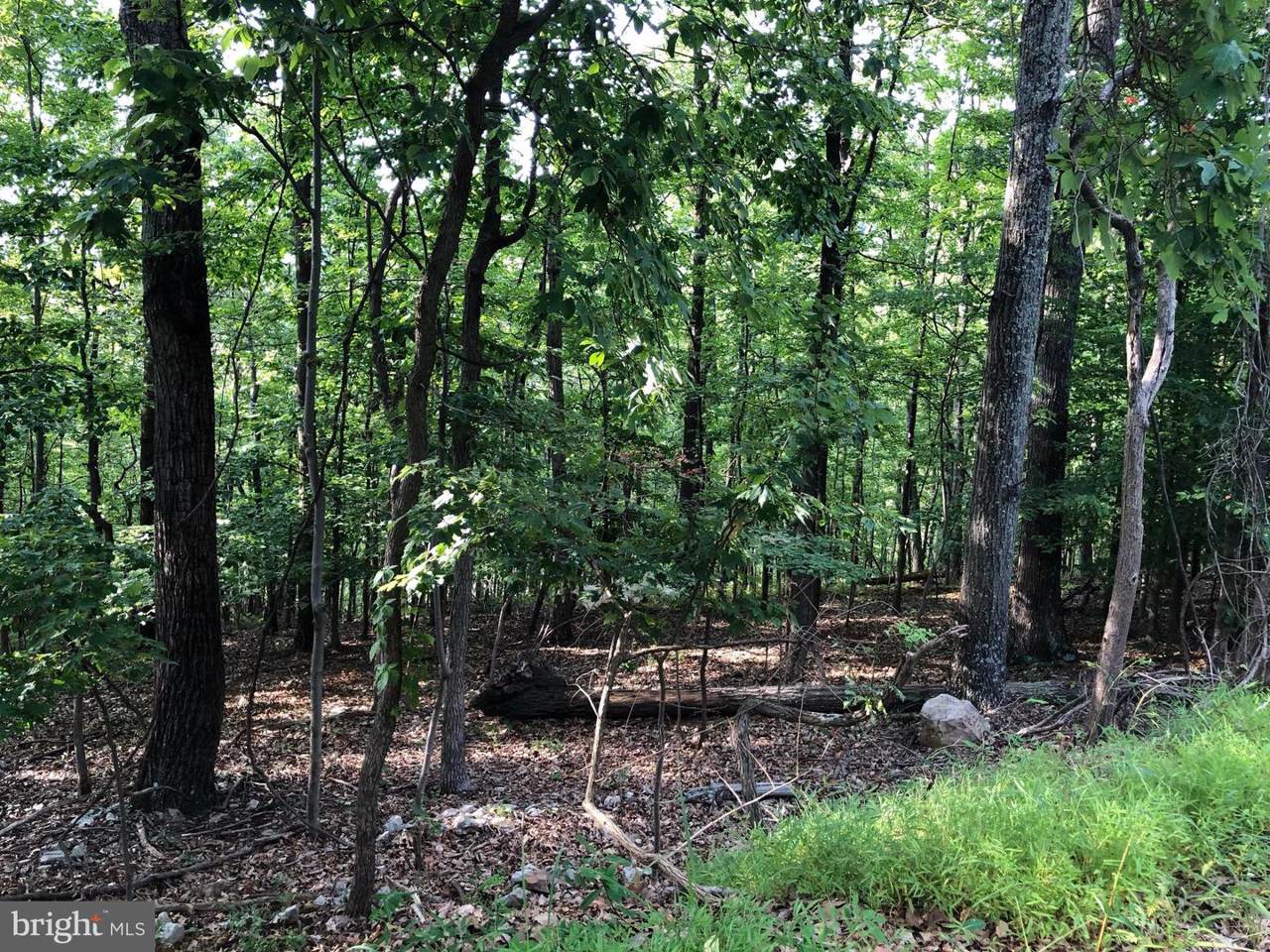 Baldwin Road - Photo 1