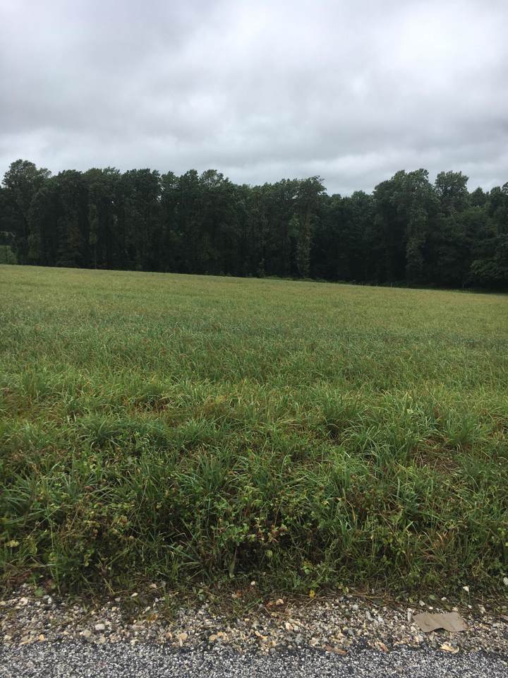 Lot 4 Laurel Hill Road - Photo 1
