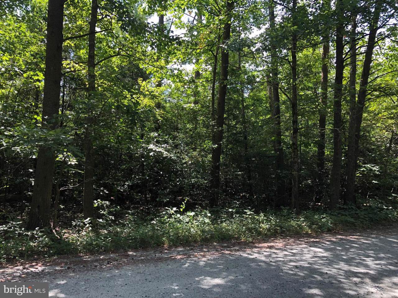 11349 Jackson Trail - Photo 1