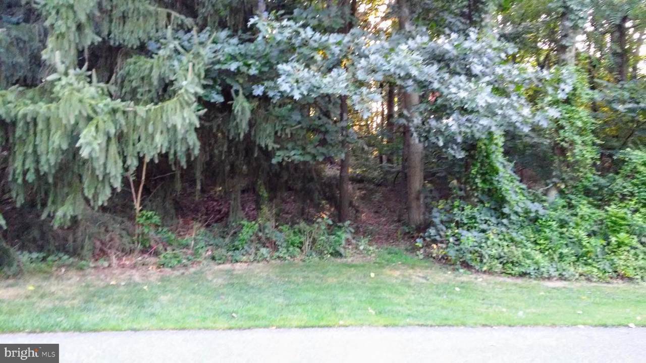 6445 Burning Tree Terrace - Photo 1