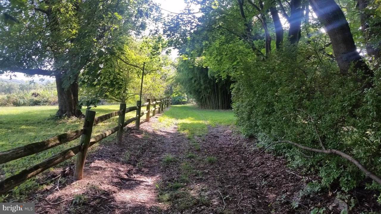 3957 Shaffers Church Road - Photo 1