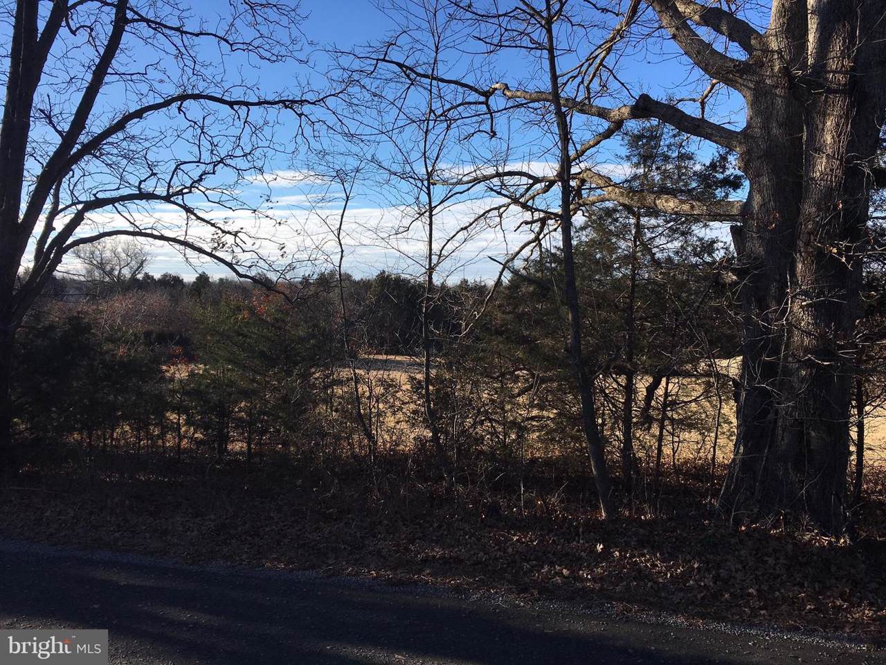 11402 & 11250 Reid Lane - Photo 1