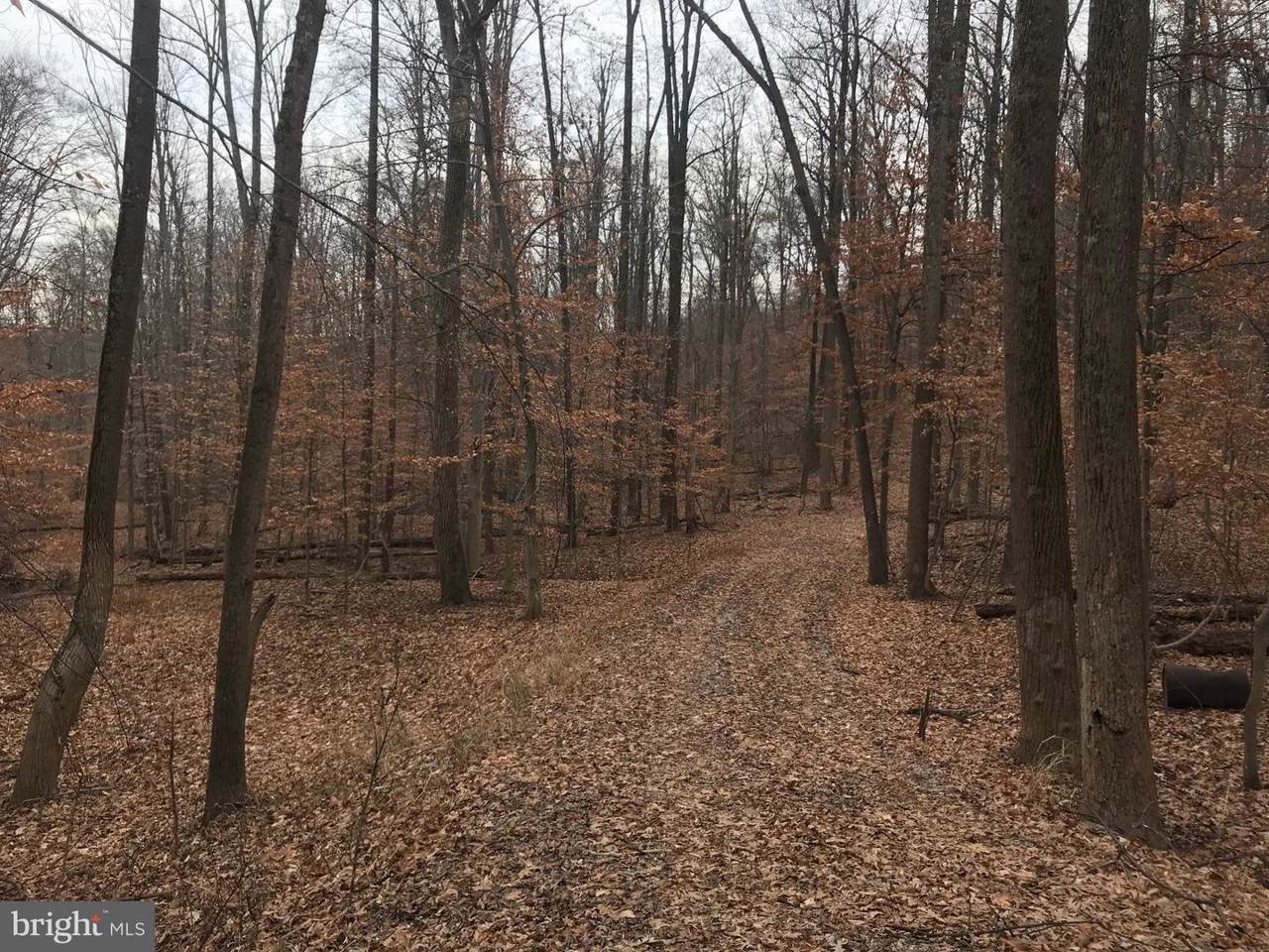 4405-D Mountville Road - Photo 1