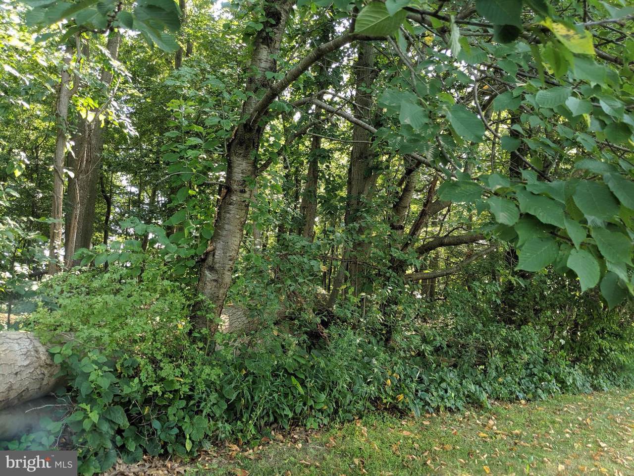 0 Battle Hill Road - Photo 1