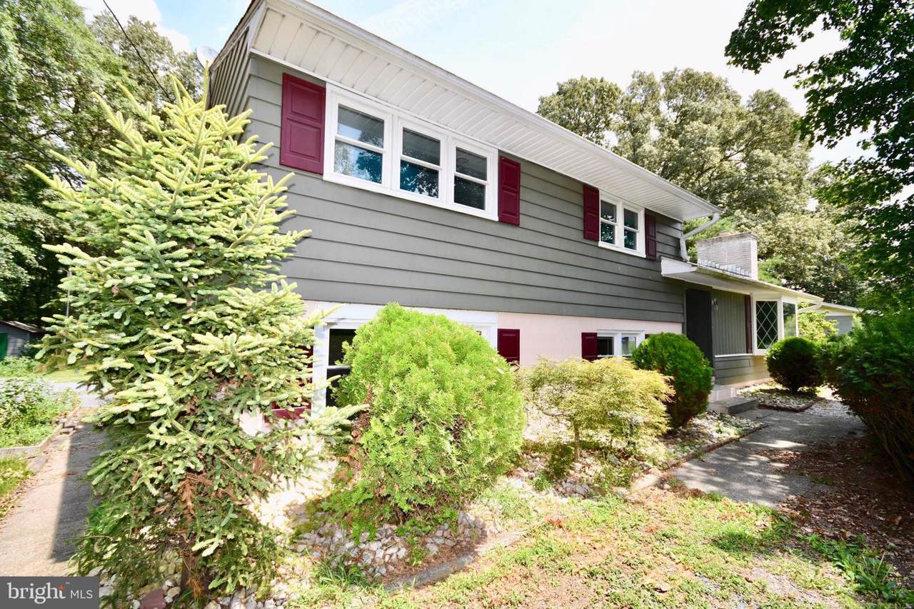 24629 Dupont Boulevard - Photo 1