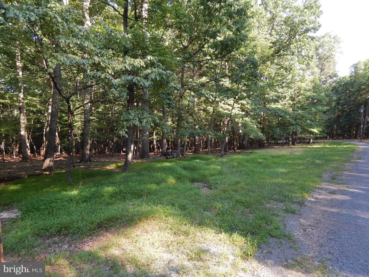 103A Sideling Mountain Trail - Photo 1