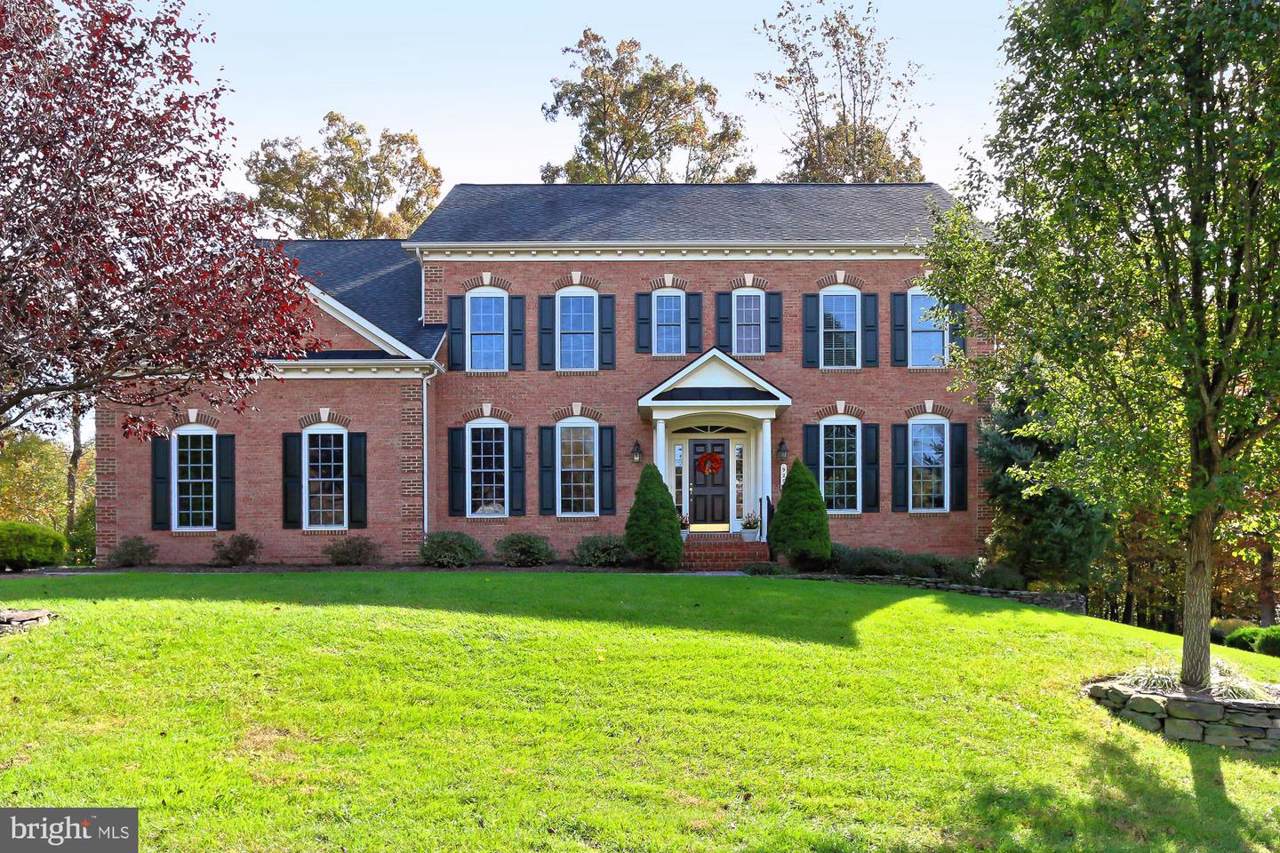 9205 Marovelli Forest Drive - Photo 1