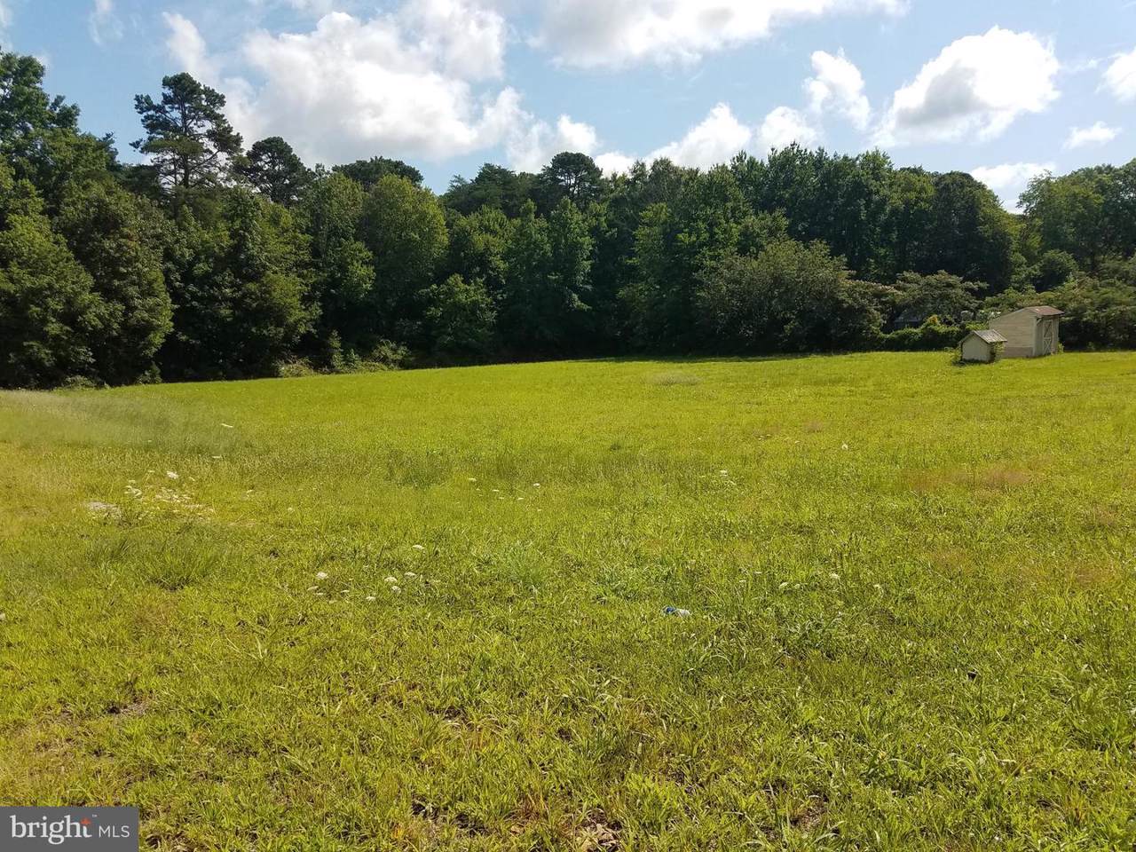 196 Carlisle Place Road - Photo 1
