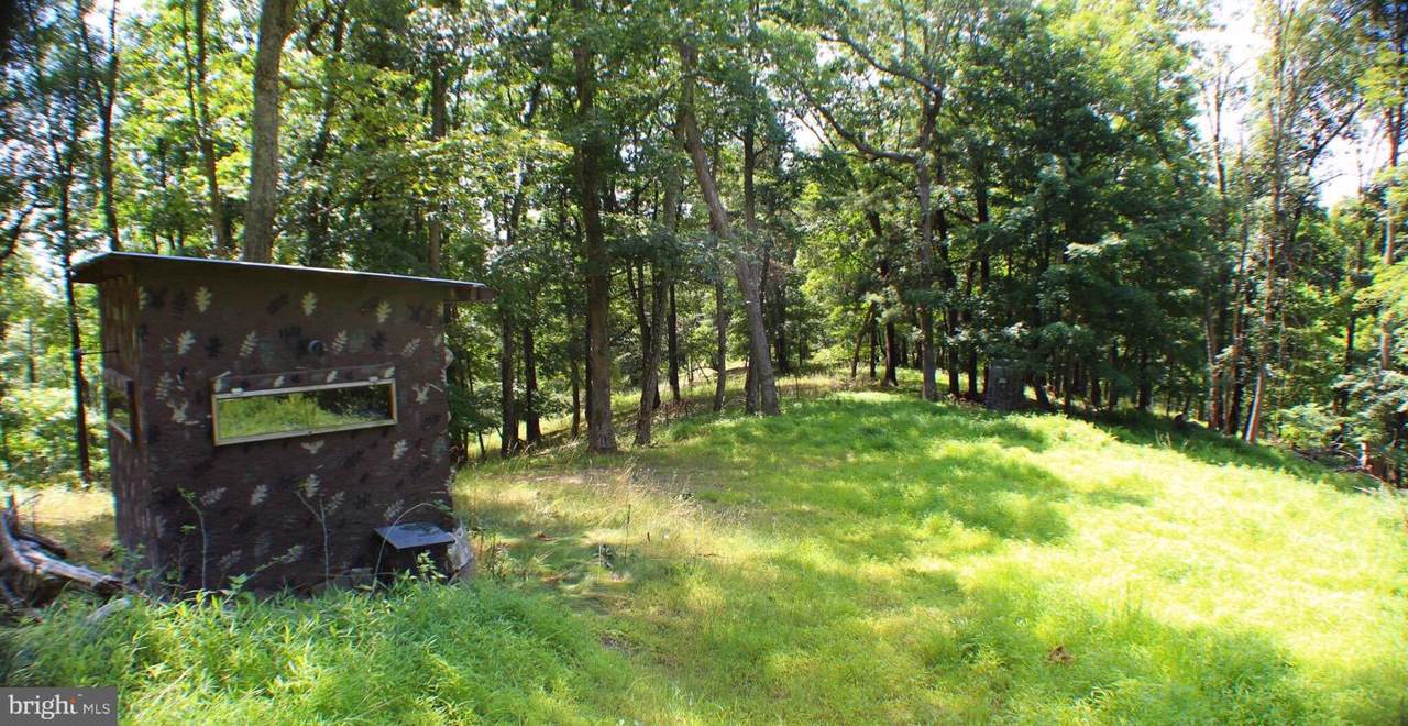 50 acs Skaggs Run & Paul Bean Road - Photo 1
