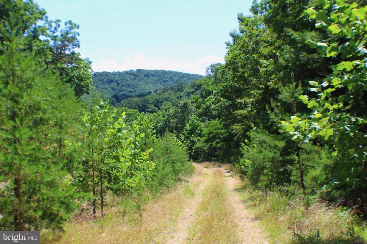45.35 acs Upper Skaggs Run - Photo 1