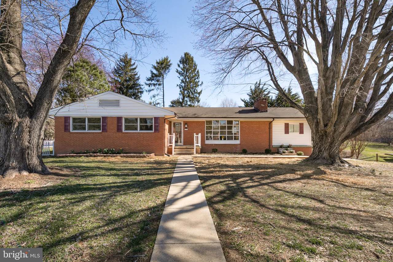 6320 Nordix Drive - Photo 1