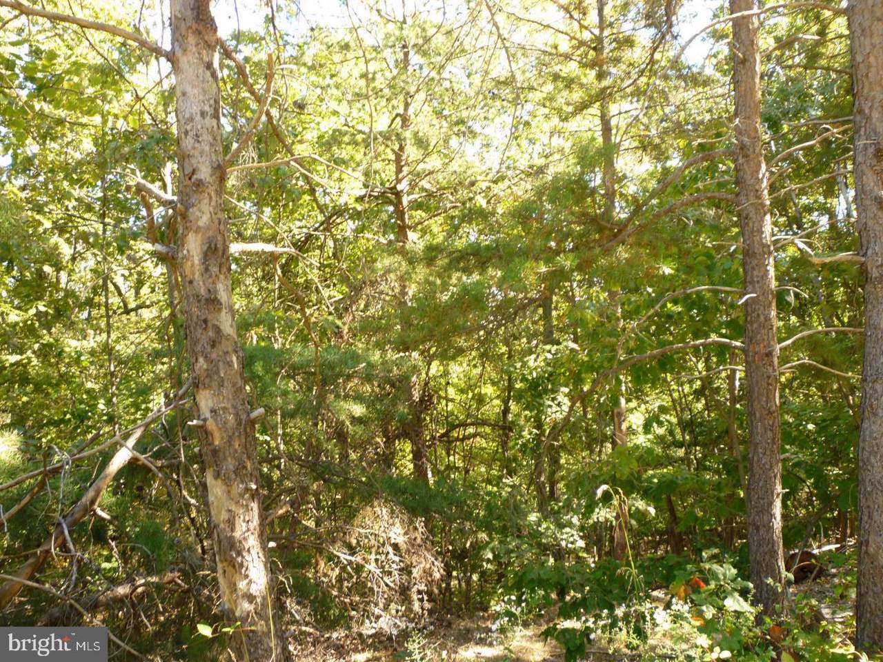 2905 Rodgers Terrace - Photo 1