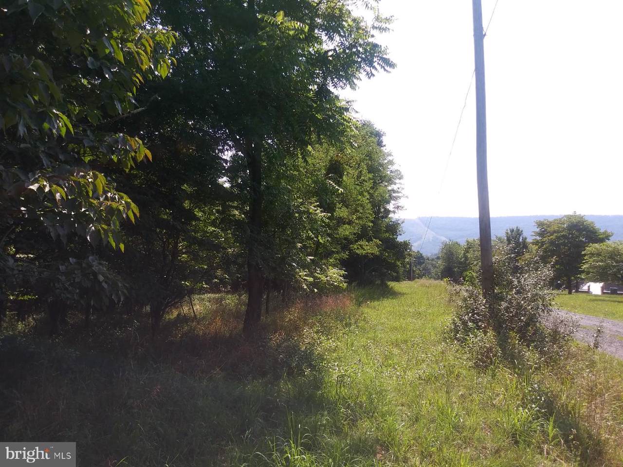 22 & 69 Maynard Drive - Photo 1