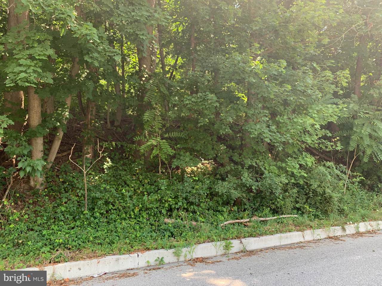 1509 Duke Street - Photo 1