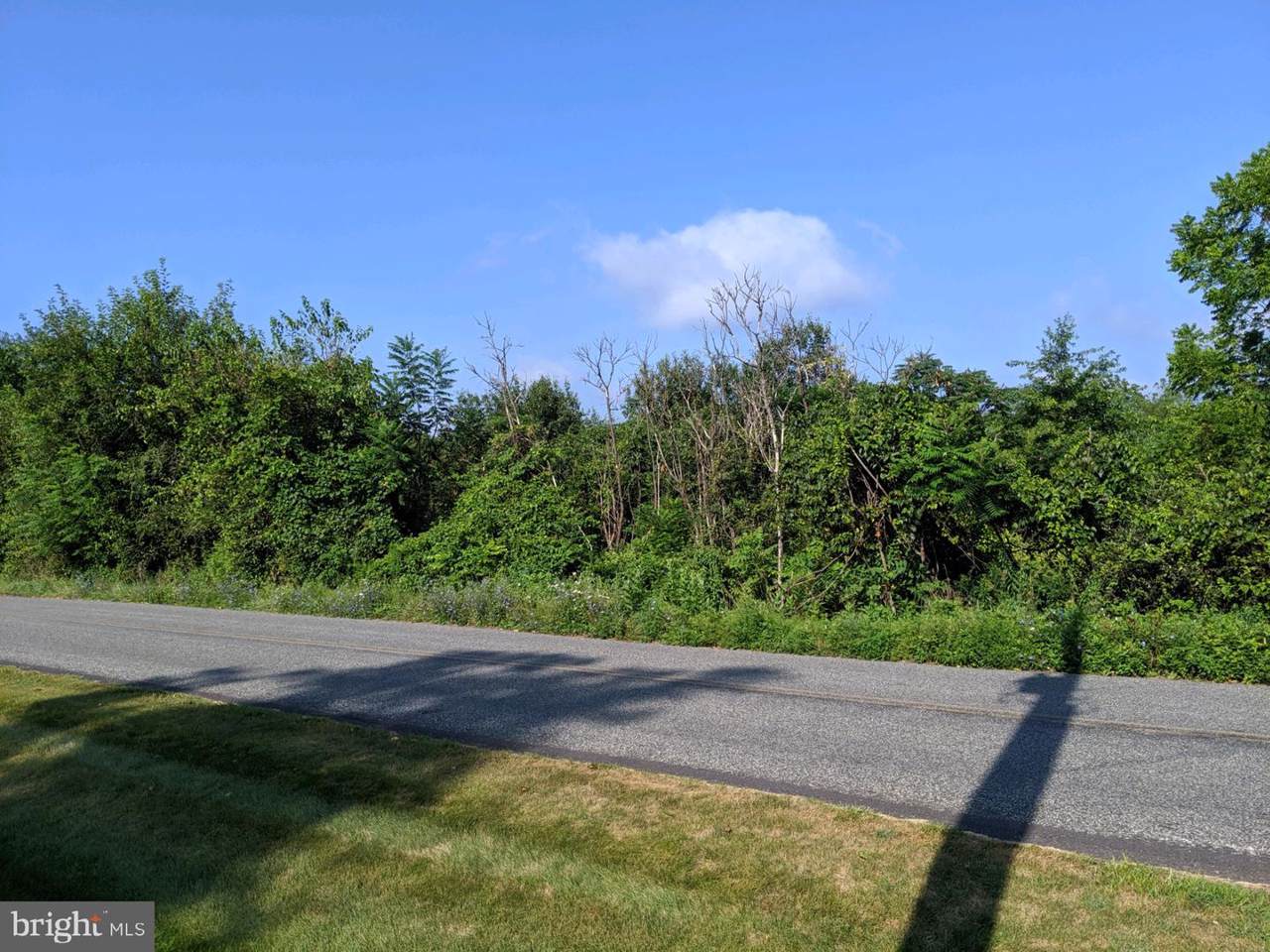 0 W S Of Grant Road - Photo 1