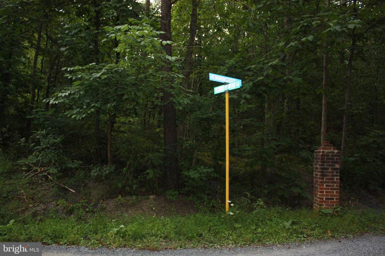 Lot 4 Hummingbird Lane - Photo 1