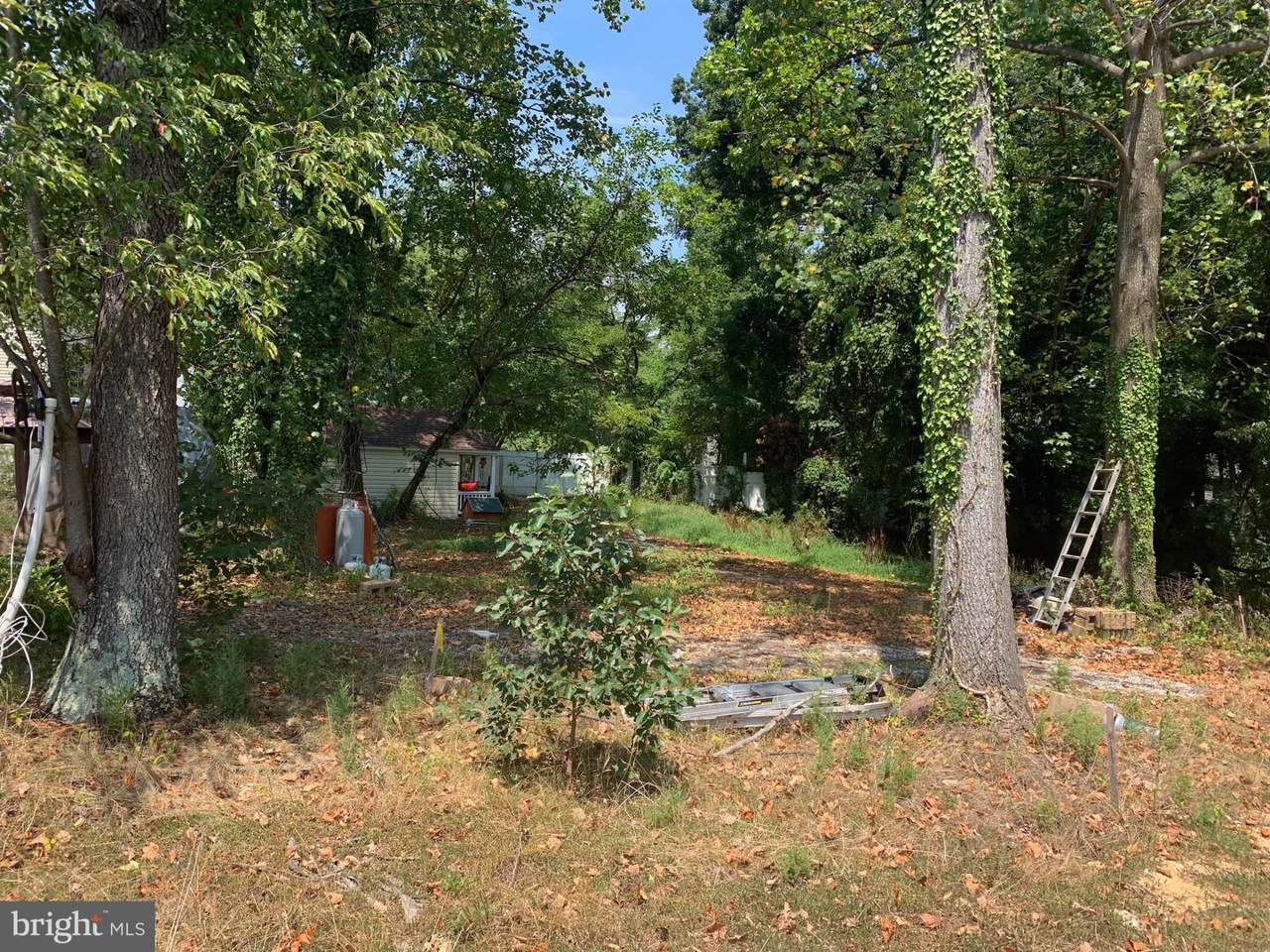 1244 Gloria Harris Court - Photo 1